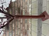 Dekobaum, Kirschblüte, Sakura, Deko, Tischdeko NEU160 cm Produktbild-Vorschau 9