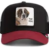 Cappello  Goorin Bros Top Dog Black Anteprima dell’immagine prodotto 6