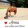 Bodenarbeitsseil AMKA ohne Karabiner 3,70 m mit Produktbild-Vorschau 5