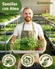 ZenGreens® Semillas Eco para Germinar Set 20 Variedades – Vista previa de la imagen del producto 2