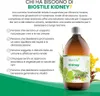 Biostile Kidney – Succo a base di erbe con verga d'oro, Anteprima dell’immagine prodotto 3