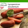 SAFLAX - Rajče - San Marzano - Lycopersicon esculentum - 10 Náhled obrázku produktu 6