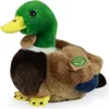 RAPPA Plsch-Ente 20 cm ECO-FRIENDLY Produktbild-Vorschau 2