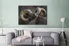 OneMillionCanvasses® - Leinwandbilder - 140x90 cm, Schaap - Produktbild-Vorschau 2
