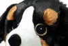 ALPENWELT Sennehund Produktbild-Vorschau 2
