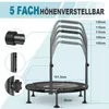 Trampolino da fitness per interni, pieghevole, non richiede Anteprima dell’immagine prodotto 2
