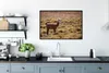 MuchoWow® MuchoWow® Gerahmtes Poster Alpaka - Braun - Natur Produktbild-Vorschau 3