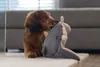 Beeztees Minus One Rochen – Hundespielzeug, Fleece Produktbild-Vorschau 2