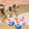 Plüschtiere für Hunde, Interaktive Hundespielzeug, Produktbild-Vorschau 6