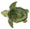 Peluche Tartaruga Acquatica 20 Cm Ecologica Anteprima dell’immagine prodotto 5