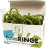 memo Gummiring Green&Fair S6738 140x4mm 120St Produktbild-Vorschau 1