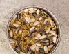 A close-up, top-down view of a metal bowl filled with birdseed, resting on a sandy and concrete surface. Produktbild-Vorschau