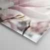 Bilder auf glas - Einteilig - Zweig Magnolie Blume - Produktbild-Vorschau 5