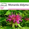 SAFLAX - včelí balzam - Monarda didyma - 20 Semená - S Náhľad obrázku produktu 10