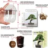 GROW2GO Bonsai Starter Kit inkl. GRATIS eBook - Produktbild-Vorschau 2