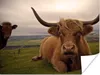 MuchoWow® Poster Schottischer Highlander - Tiere - Berg Produktbild-Vorschau 1