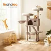 A cat tree with two cats is shown in a bright, airy room with natural light coming from a window. There are also decorative baskets and plants in the scene. Anteprima dell’immagine prodotto