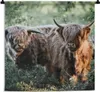 MuchoWow® Wandteppich Wandbehang Schottische Hochlandrind - Produktbild-Vorschau 1