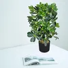 Schefflera Arboricola Plante Arbre Artificielle Artificiel Voir les images du produit 4