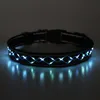 LED Hundehalsband – Leuchthalsband für Hunde, Produktbild-Vorschau 1