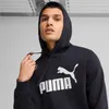 Sweatshirts Puma 68257016 Produktbild-Vorschau 10