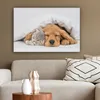 MuchoWow® - Leinwandbilder - Haustiere - Hund - Katze - Produktbild-Vorschau 5