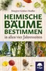 Heimische Bäume bestimmen Anteprima dell’immagine prodotto 3
