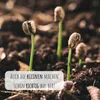 GROW2GO Dein eigener Zwergkaffee Strauch zum selber Produktbild-Vorschau 6