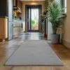 A hallway with a rug in the foreground and a plant in a pot on the right. Náhled obrázku produktu