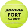 Tenisové loptičky Fort All Court TS Náhľad obrázku produktu 4