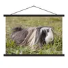 MuchoWow® Textilposter Langhaar-Meerschweinchen 60x40 cm Produktbild-Vorschau 1