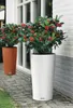 LECHUZA-Pflanzgefäß CILINDRO Color 32 Weiß | Pflanzsäule Produktbild-Vorschau 3