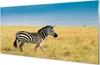 Glasbilder 140x70 Wandkunst Zebra-Box Produktbild-Vorschau 1