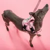 Laisse et Harnais Pour Chien Puppyjoy PJ-056 M Pink Voir les images du produit 4