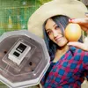 Kruger Meier ProLexor 60 - inkubator z termostatem na 60 Podgląd zdjęcia produktu 7