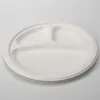 RyanPack Zuckerrohr Bagasse Teller 3 geteilt 26 cm Weiß – Produktbild-Vorschau 2