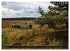 Lüneburger Heide (Wandkalender 2027 DIN A4 quer), CALVENDO Produktbild-Vorschau 13