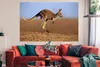 MuchoWow® Poster Känguru - Landschaft - Mantel - Braun Produktbild-Vorschau 3