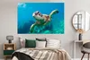 MuchoWow® Poster Eine Schildkröte schwimmt durch das Produktbild-Vorschau 4