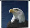 MuchoWow® Wandteppich Wandbehang Ein Weißkopfseeadler Produktbild-Vorschau 1