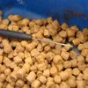 Sonubaits Fin Perfect Feed Pellets 6 mm 650 g Produktbild-Vorschau 4