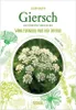 Giersch - Aegopodium Podagraria Produktbild-Vorschau 2