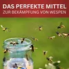 BIODELTA Wespenspray - Wespen effektiv bekämpfen - Produktbild-Vorschau 3