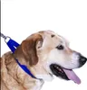 scarlet pet | Hundehalsband »Universal« mit Klickverschluss Produktbild-Vorschau 3