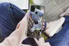 MuchoWow® Handyhülle Schutzhülle Hülle für Samsung Galaxy Produktbild-Vorschau 3