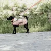 A black dog wearing a pink dog coat and a pink leash is walking on a stone path with grass in the background. Produktbild-Vorschau