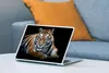 MuchoWow® Laptop Aufkleber Sticker Cover Porträt - Tiger - Produktbild-Vorschau 4