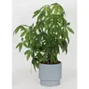 Pot de fleurs 30 x 29 cm - Pot de plantes 17L avec pot Voir les images du produit 11