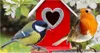Two birds are perched near a red birdhouse with a heart-shaped opening. Produktbild-Vorschau