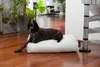 Smoothy Hundebett Classic Weiß 100x60x20cm – Robustes Produktbild-Vorschau 1